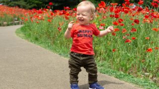 子どもが歩き始めるのはいつ？息子は1歳3ヶ月で歩くようになりました